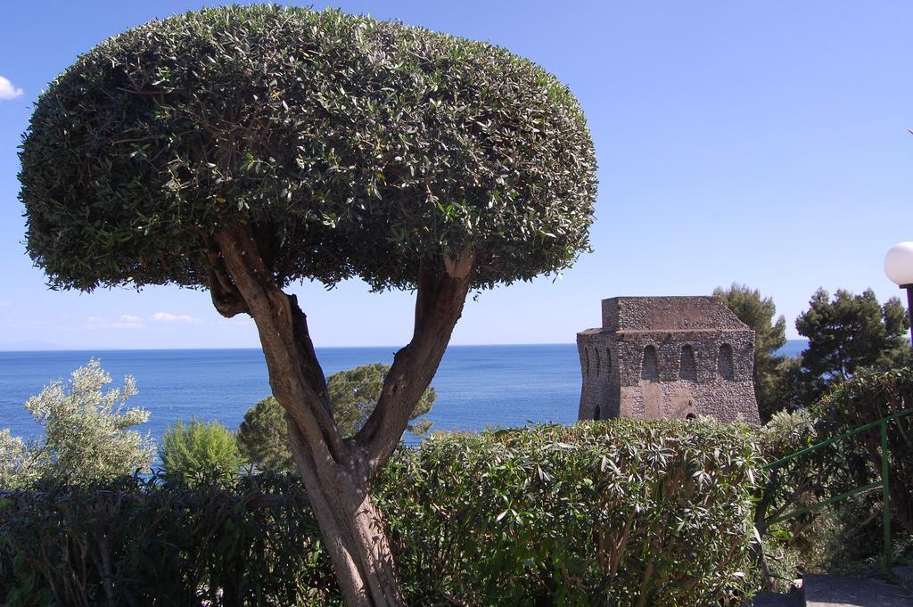 Torre Turbolo Apartments Massa Lubrense Dış mekan fotoğraf
